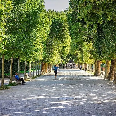 Lägenhet 301 - Confort Au Coeur De 5 *